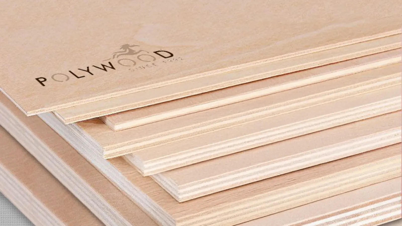 Dhabriya Polywood brand identity design 1