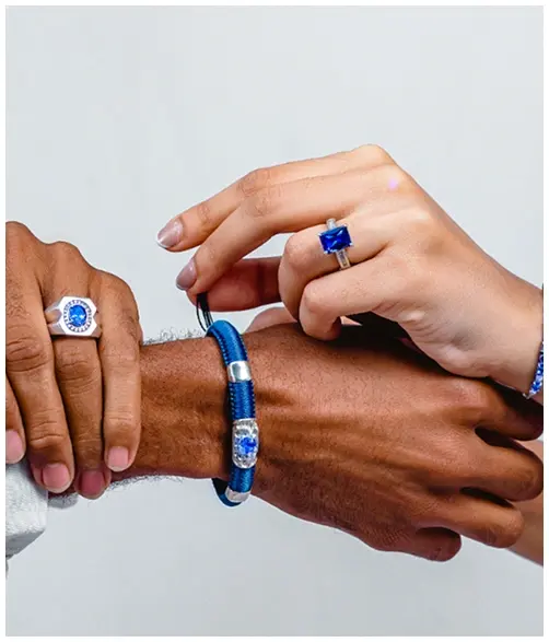 Tanzanite Experience social media post 11