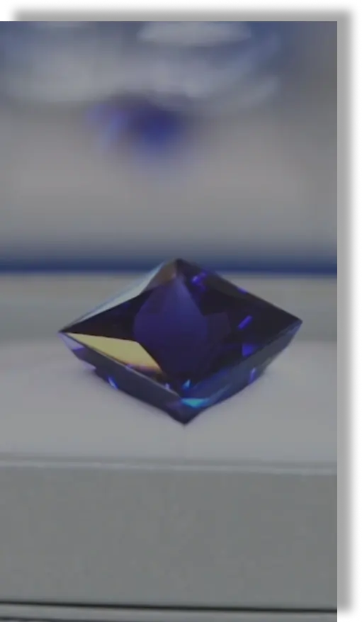 Tanzanite Experience reel cover 4