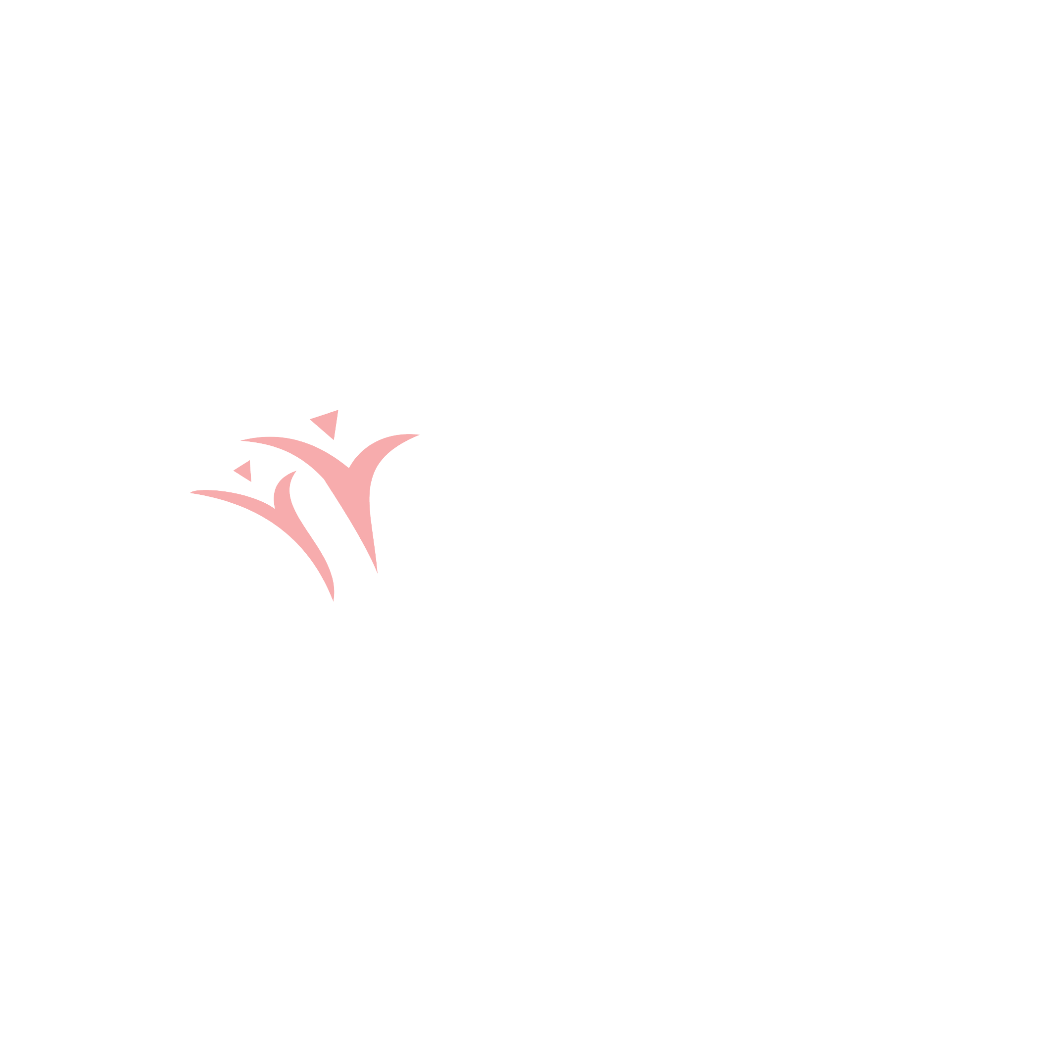 Brand Building for Shades centralized chain of salons.